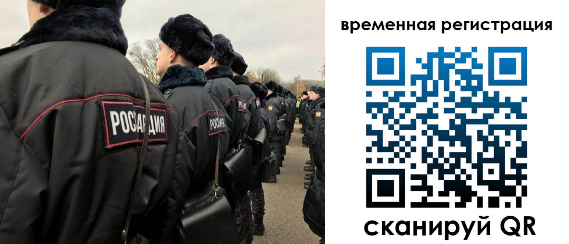 прописка гарантия в Кукморе